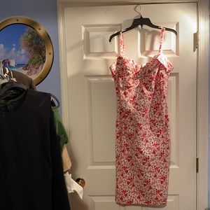 Pinup girl Dixie fried wiggle dress